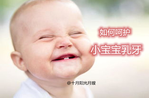 如何護理寶寶乳牙 十月陽光