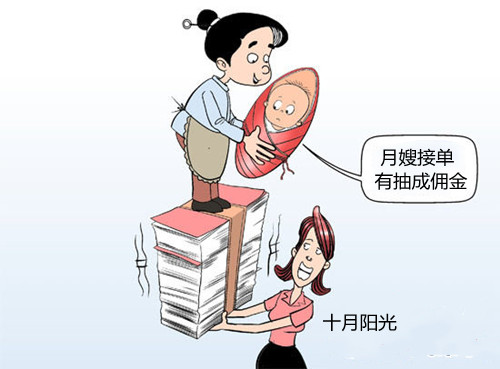 一個月嫂單公司或個人抽成多少錢 十月陽光
